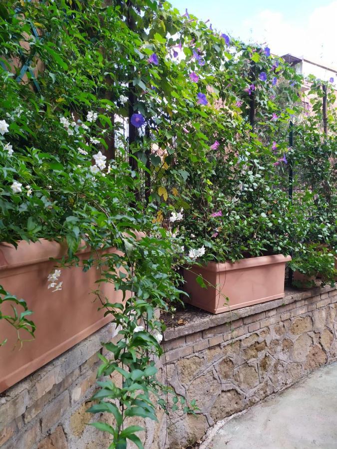 Angolo Sul Giardino Roma Eksteriør bilde